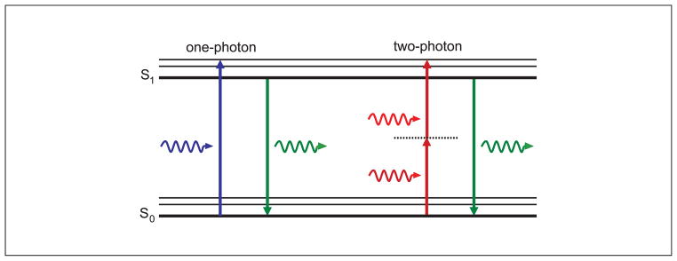 Blog Image 3